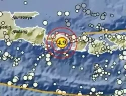 Diguncang Magnitudo 4,9, Lima Gempa Susulan Terjadi di Gianyar Bali