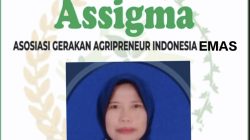 ASSIGMA: Provinsi Jambi Siap Bersinergi Bersama Pemerintah. Ikut Berkiprah memajukan anak bangsa.
